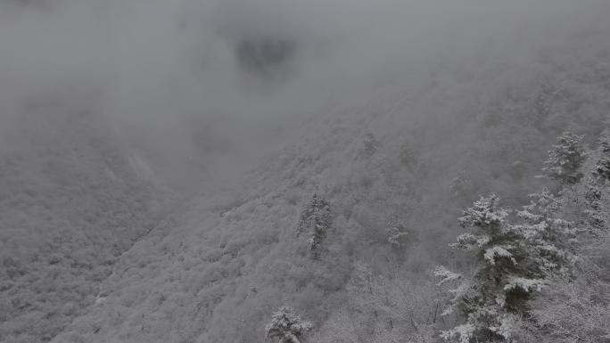 甘南州舟曲县拉尕山冬景航拍