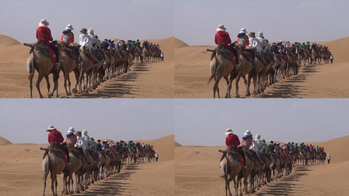 宁夏沙坡头景区骑骆驼