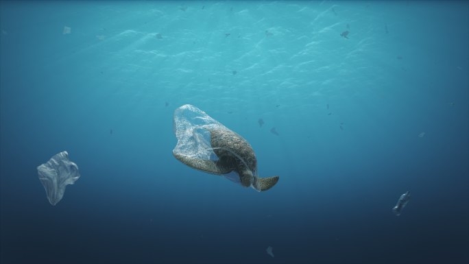 水污染海洋污染被塑料缠绕的海龟生态破坏