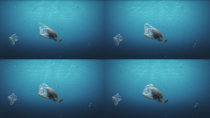 水污染海洋污染被塑料缠绕的海龟生态破坏