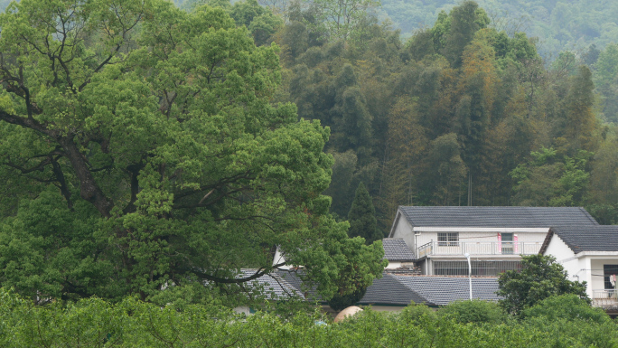 小山村_农村自然生态环境_山脚下的村庄