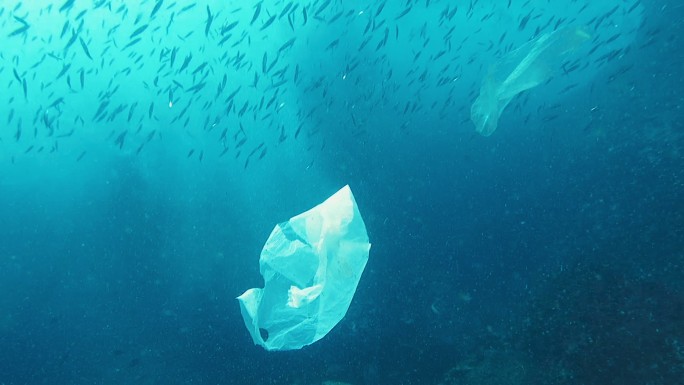海洋中一次性塑料的环境问题