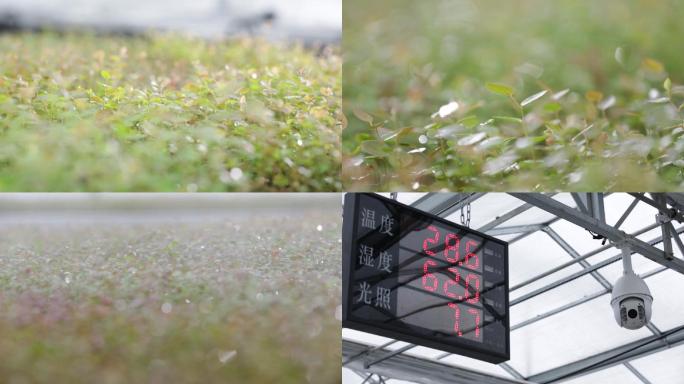 温室大棚农业智能控制灌溉温度湿度监测