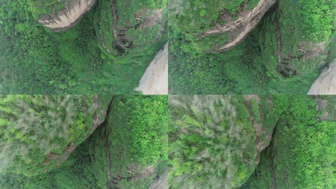 龙虎山悬崖（4K50帧）
