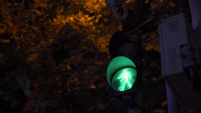 秋天夜景红绿灯交通信号灯