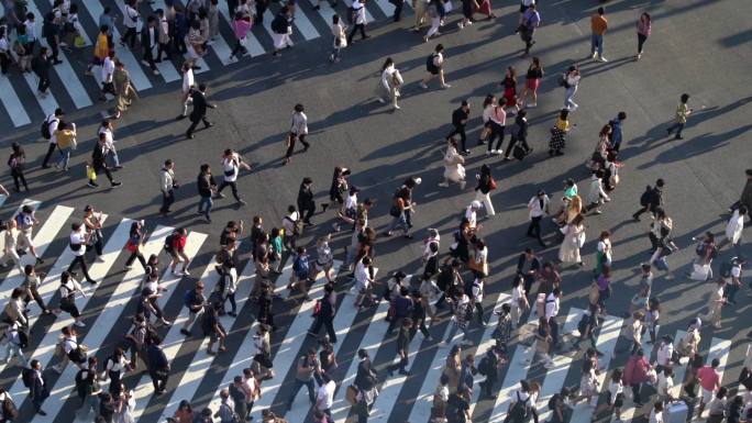 日本东京涩谷路口人群行人的俯视图