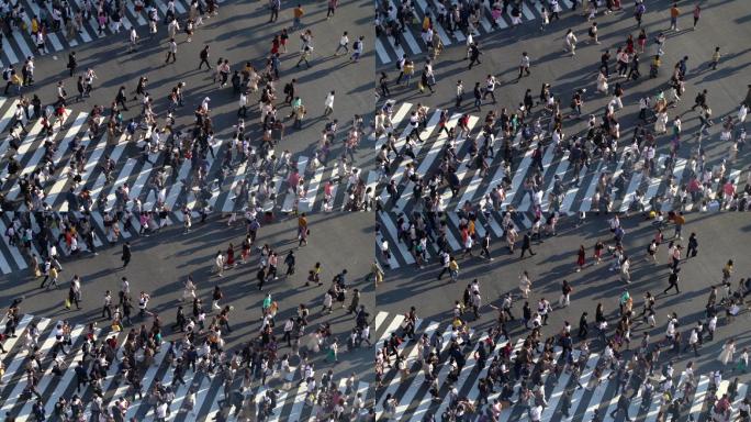 日本东京涩谷路口人群行人的俯视图