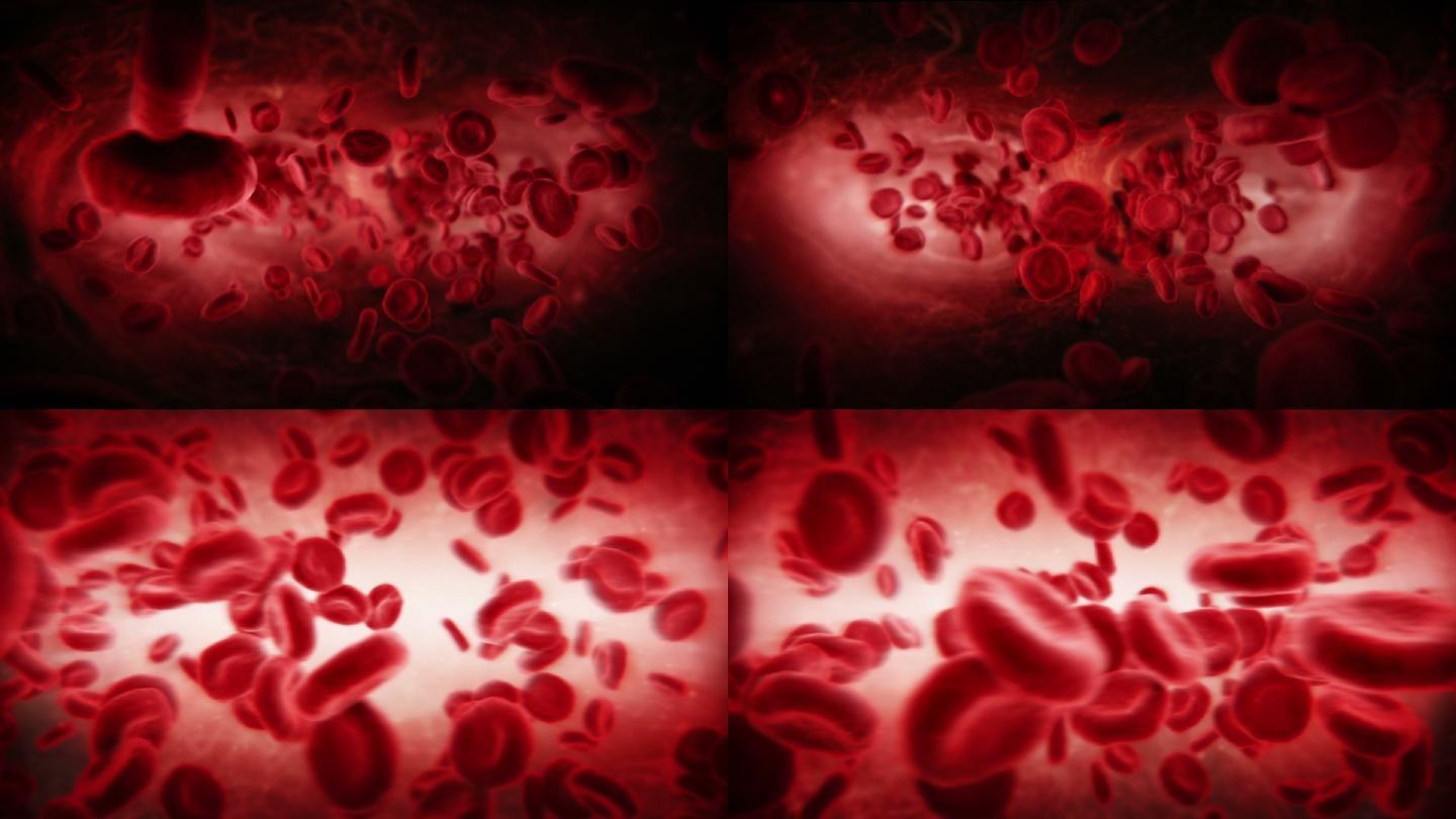 动脉中的红细胞。微生物学白细胞毛细血管