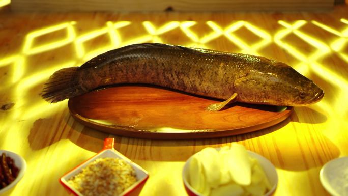 美食餐饮鱼肉配菜展示光影酸菜鱼黑鱼