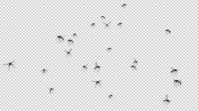 一群蚊子
