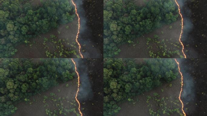 森林火灾封锁森林环境破坏