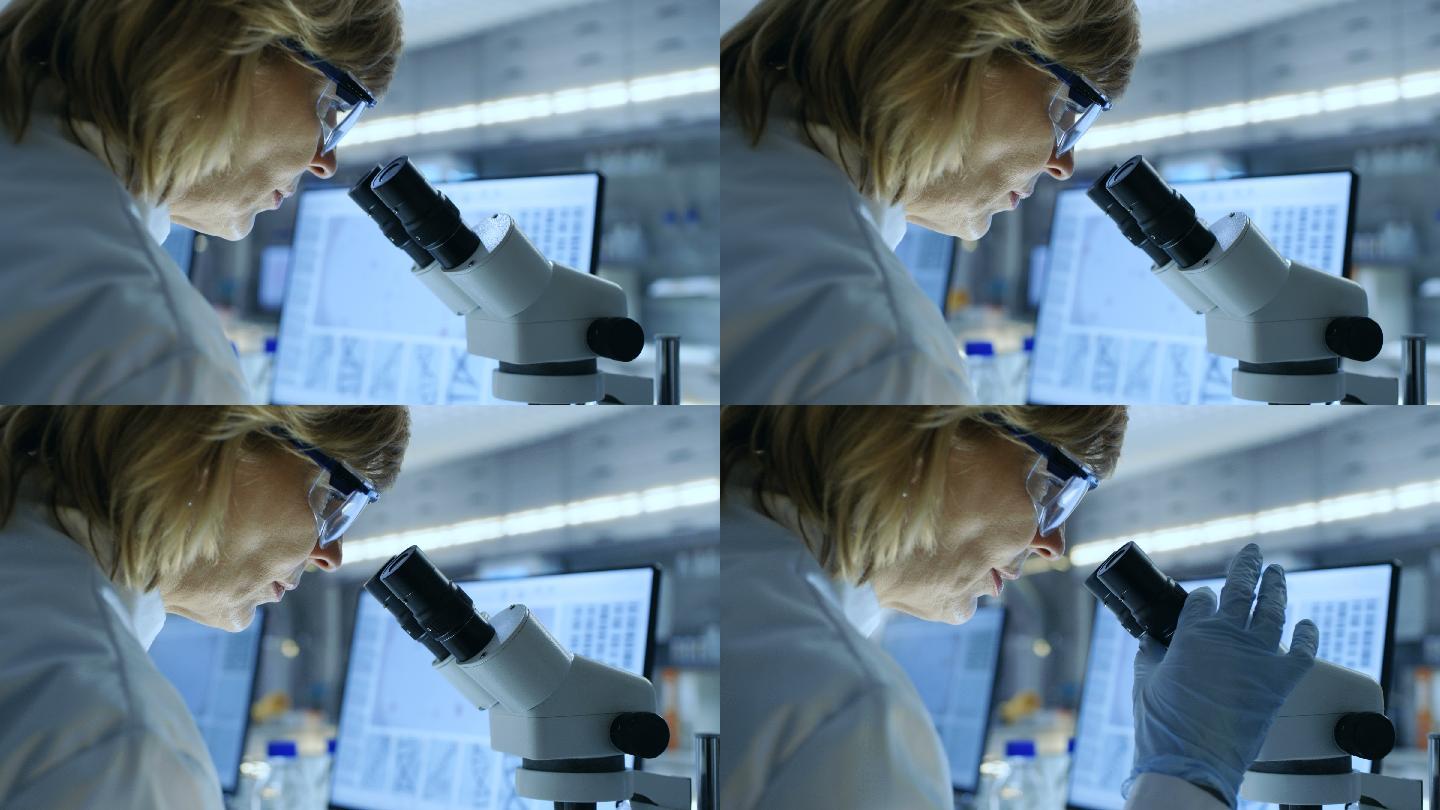 女生物学家在显微镜下观察材料