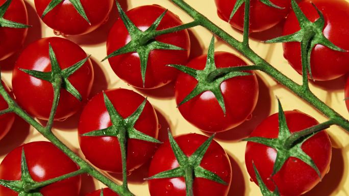 4K番茄水果防晒美容西红柿