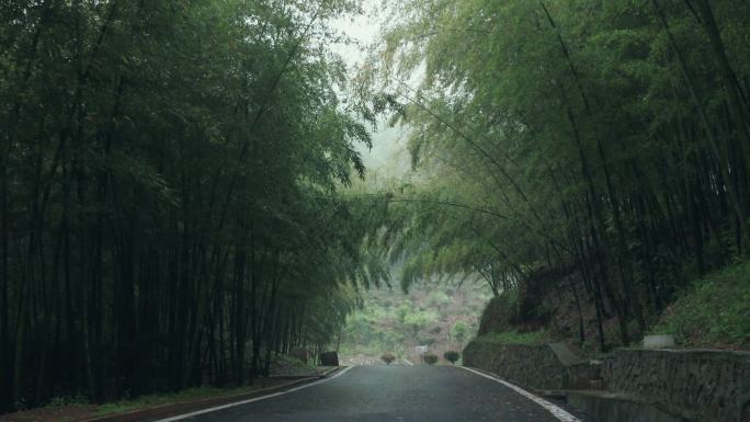 4K烟雨中的竹林小道