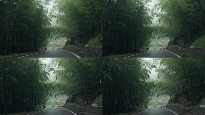 4K烟雨中的竹林小道