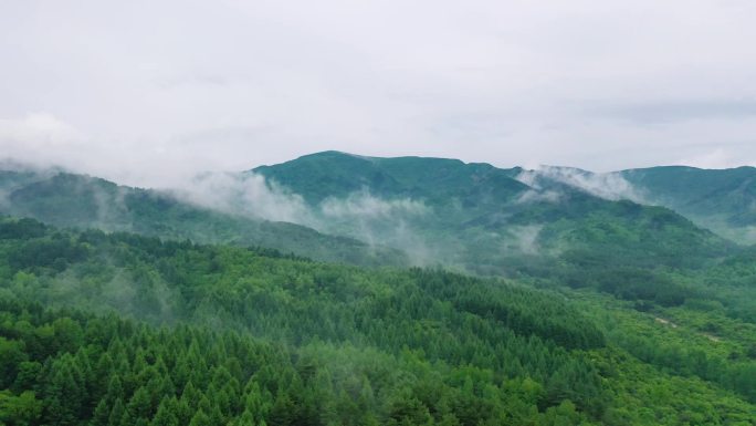 植被原始森林林区山区山脉吕梁