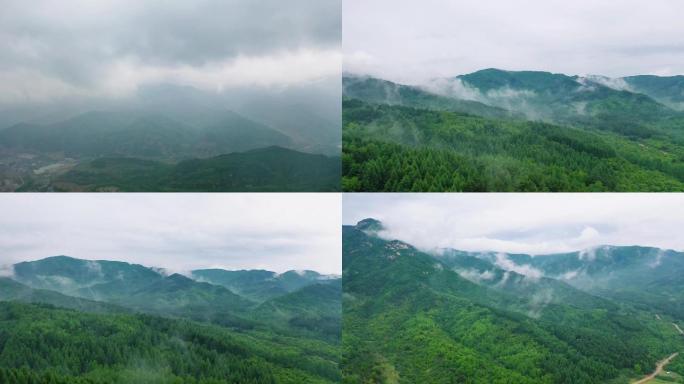 植被原始森林林区山区山脉吕梁