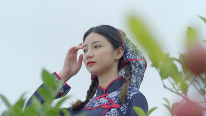 RED山茶油高清唯美视频一