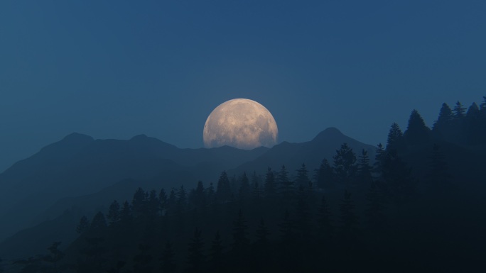 月亮月夜夜景夜色户外大自然森林树林