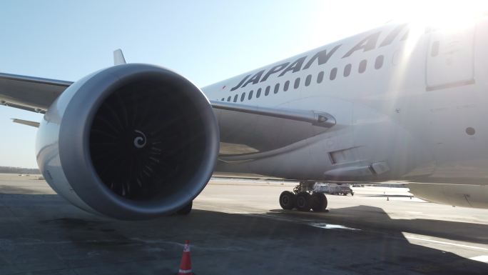 日本日本航空波音787航班飞机