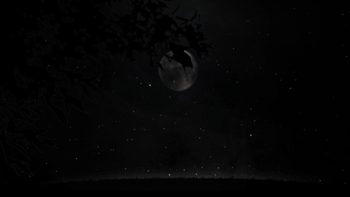 树枝树梢月亮