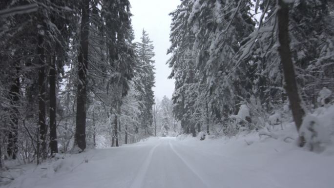 开车穿过雪林东北树林大兴安岭雪天雪景