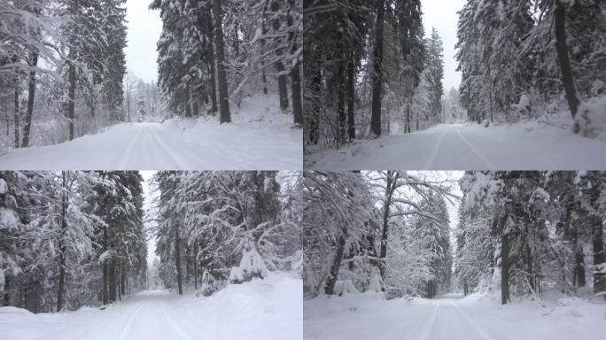 开车穿过雪林东北树林大兴安岭雪天雪景