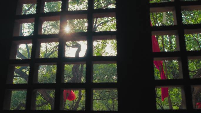 窗格窗户古典窗户木窗日出清晨