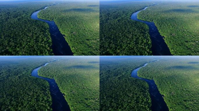 亚马逊雨林鸟瞰图航拍雨林植被环境保护生态