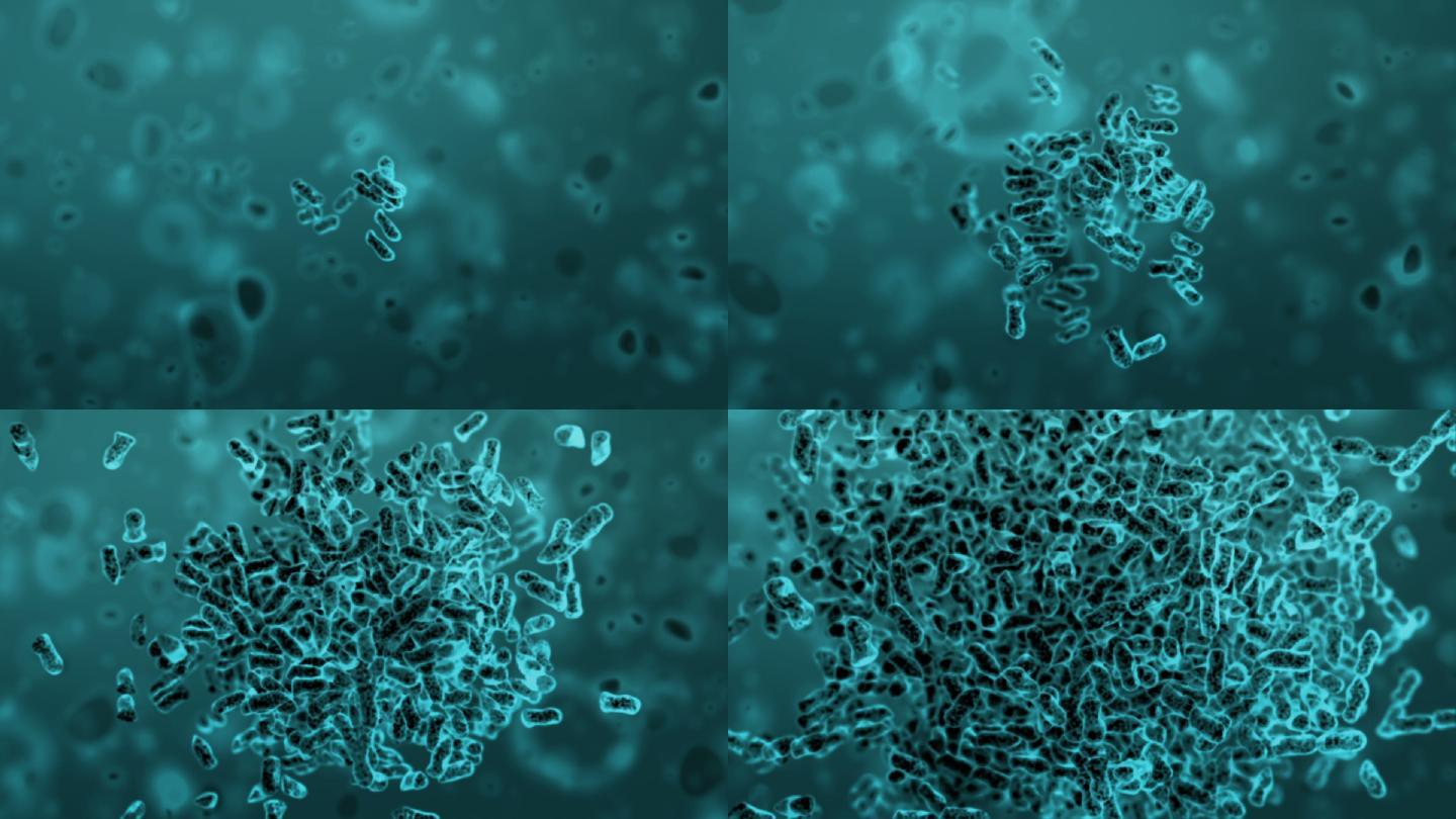 克隆细菌，3d动画