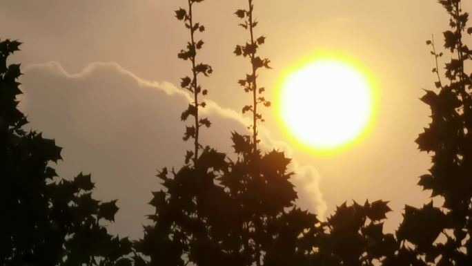 傍晚的太阳落山太阳云遮住太阳