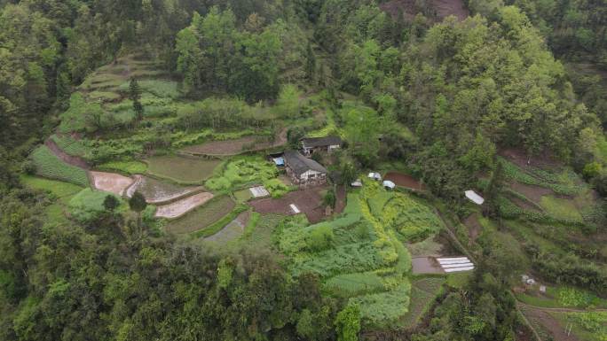 航拍半山小平房