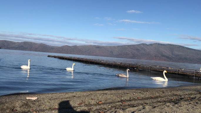 日本北海道网走市屈斜路湖天网红打卡