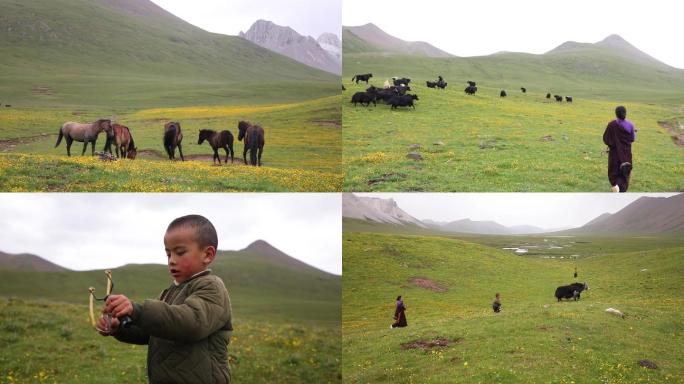 甘孜州石渠县藏族放牧的姑娘和小孩