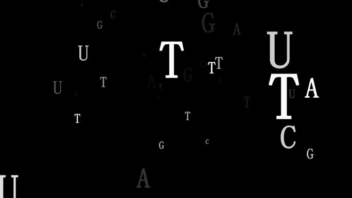 化学生物碱基粒子飞舞特效带通道