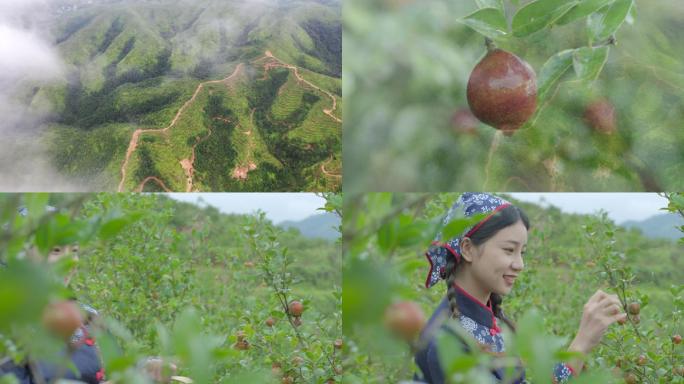 RED山茶油高清唯美视频二