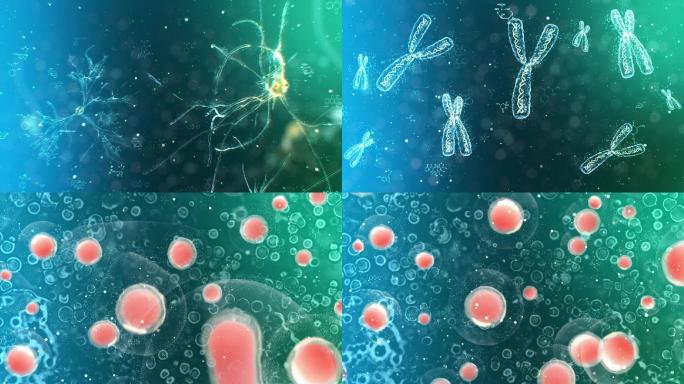 医疗医学分子式细胞神经元染色