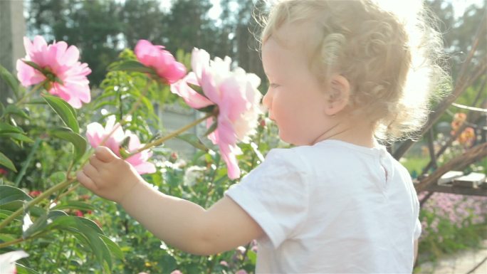 小女孩在闻一朵花小孩子闻花香花粉过敏探索