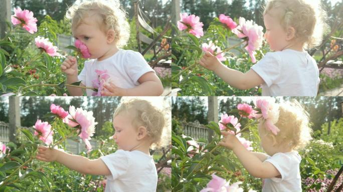 小女孩在闻一朵花小孩子闻花香花粉过敏探索
