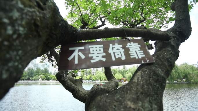 昆明翠湖公园