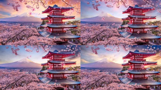 唯美樱花富士山