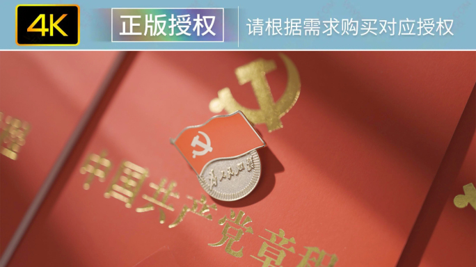 4K红色党建党政宣誓爱国主题视频素材