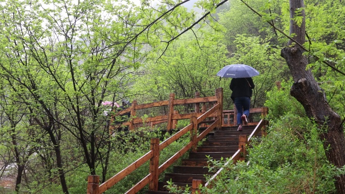 雨中的木栈道