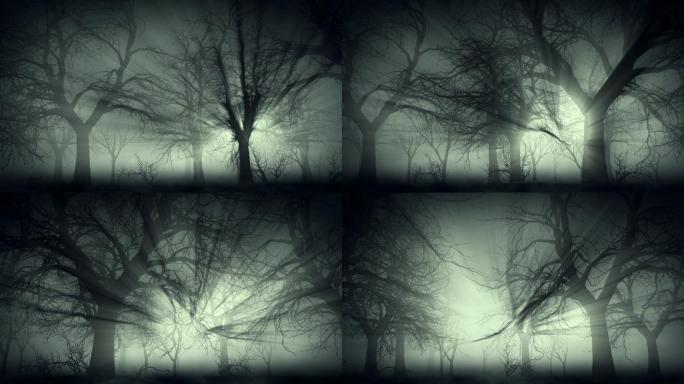 雾中的黑森林鬼月光森林
