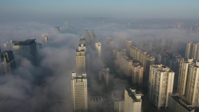 罕见城市平流雾美景