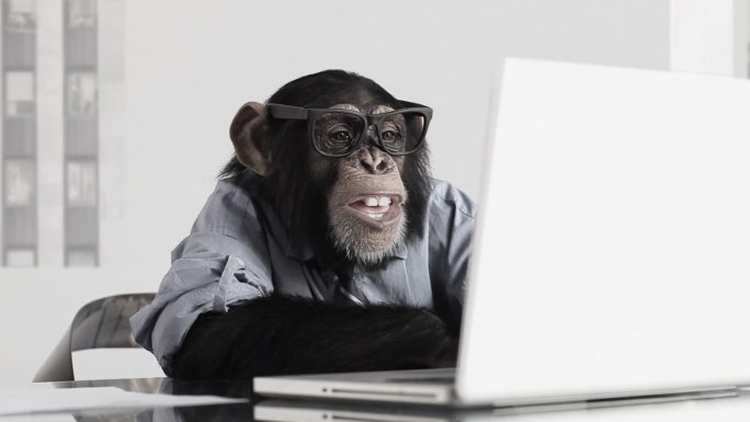 黑猩猩使用笔记本微笑正式商务装角色