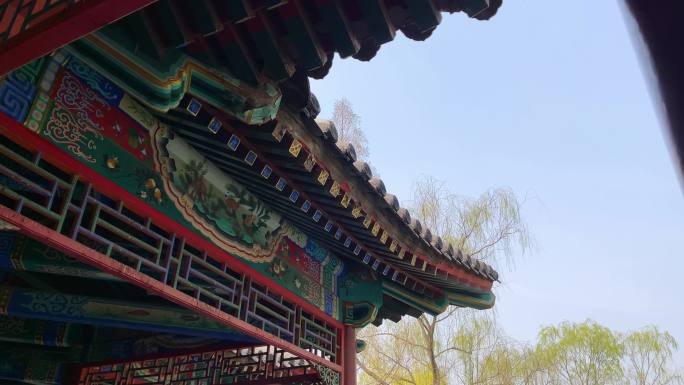 原创拍摄北京中山公园春天景色