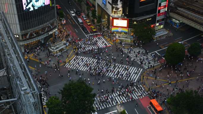 十字路口人行横道红绿灯特写高峰期交通道路