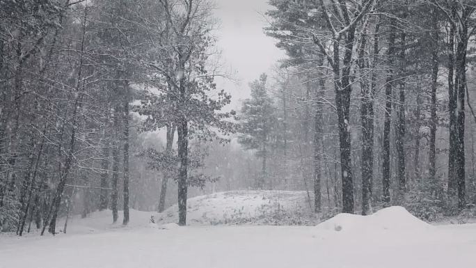 森林里的暴风雪被封锁了