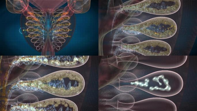 药物因子净化前列腺液排出堆积毒垢疏通腺管